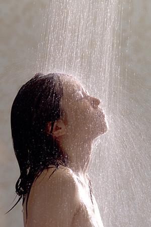 ロハス食を気軽に実践できる通販サイト